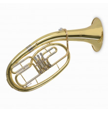 Roy Benson TH-202 Тенор Bb